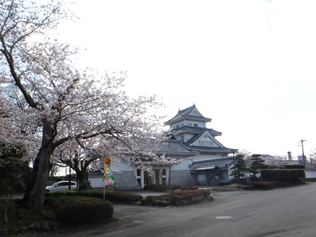 【下大津の桜】霞ヶ浦公民館_09