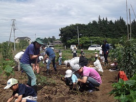 芋づくり教室（3回目）_01 width=