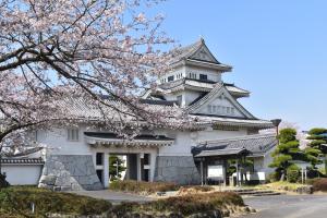 博物館大手門桜