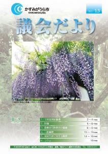 議会だよりNo.13号（2008年5月20日発行）