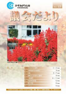 議会だよりNo.15号（2008年11月19日発行）