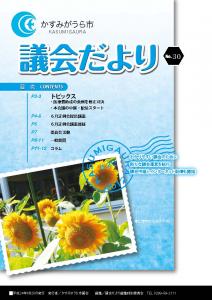 議会だよりNo.30号（2012年8月20日発行）