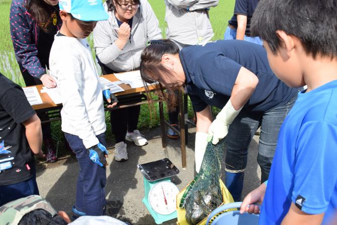 2018親子釣り大会9