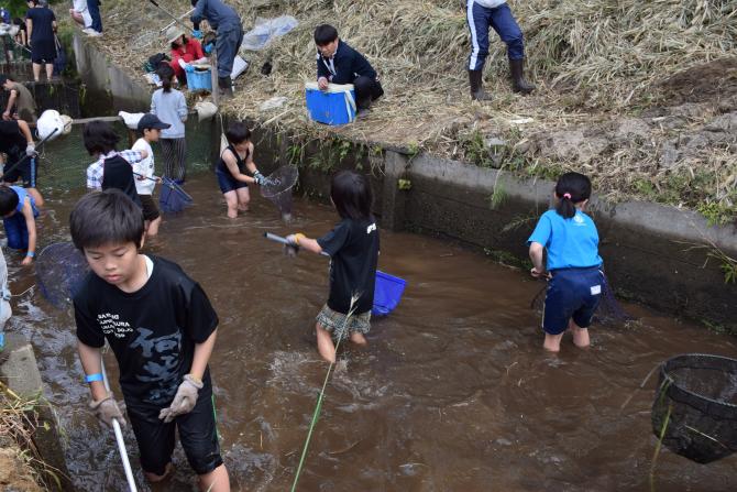 2018親子釣り大会10