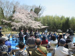 桜まつり(3)