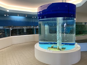 水族館2