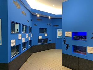 水族館3