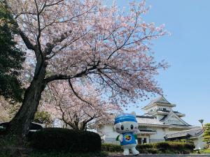 歴史博物館の桜とうにゃ