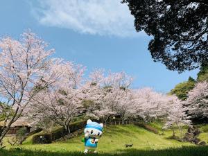 あゆみ庵の桜とうにゃ