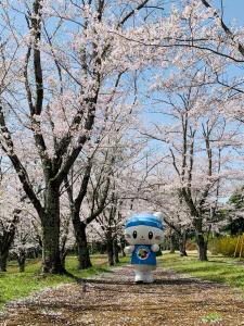 桜並木を歩くうにゃ