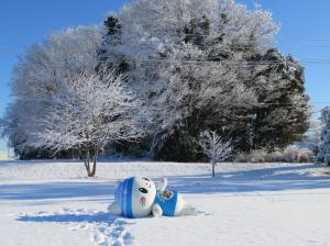 初雪うにゃ1