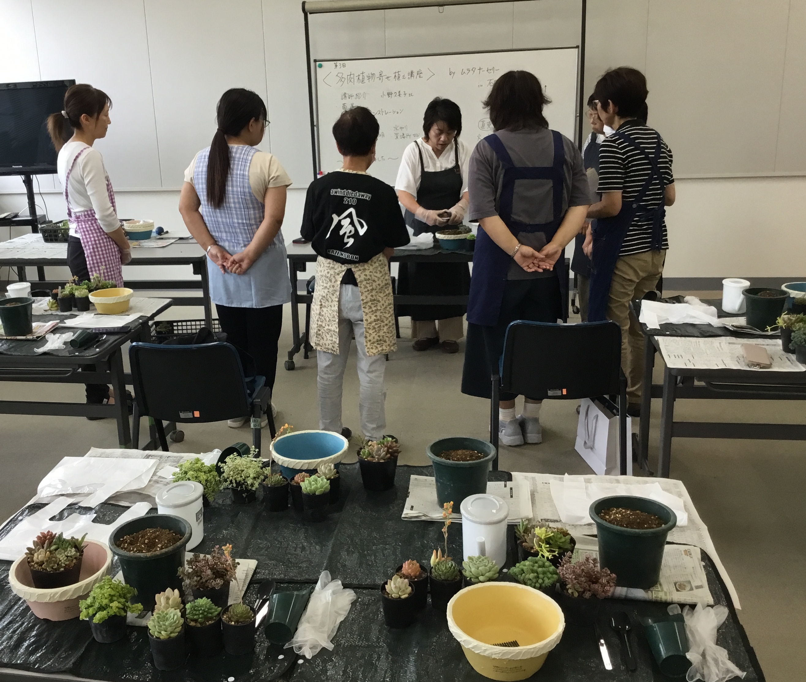 多肉植物の寄せ植え講座1