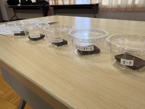 令和７年度大人大学後期講座（チョコ）５