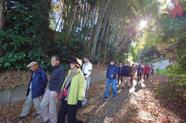 令和7年度6支館合同歩く会5