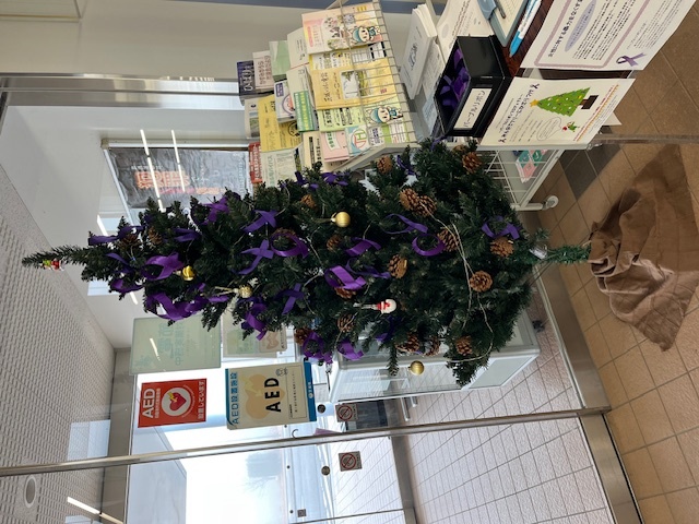 霞ヶ浦庁舎ツリー(2)