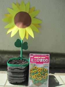 ひまわり
