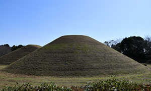 富士見塚古墳公園の画像