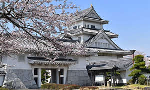 歴史博物館 の画像