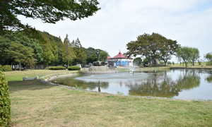 公園の画像