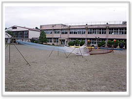 Reproduction of a net on the ground