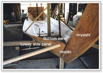 The lower side panel has been nailed to miyoshi.